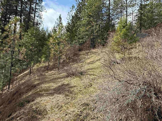 $98,900 | 42078 Porcupine Bay Road, Davenport, WA 99122