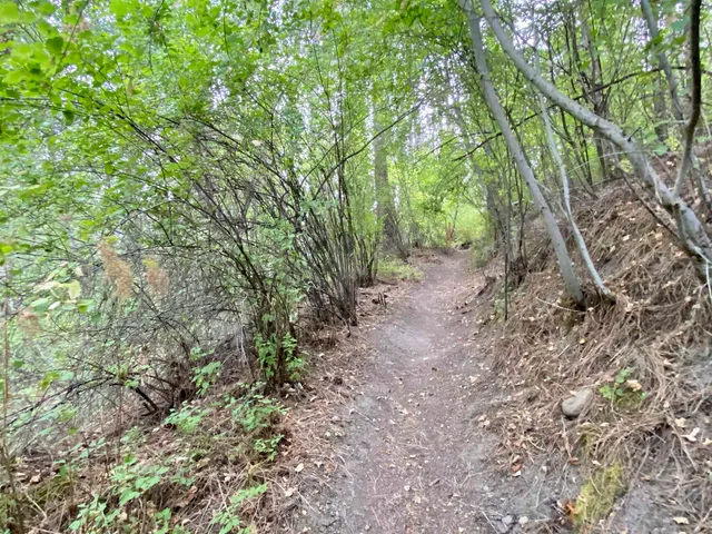 $98,900 | 42078 Porcupine Bay Road, Davenport, WA 99122