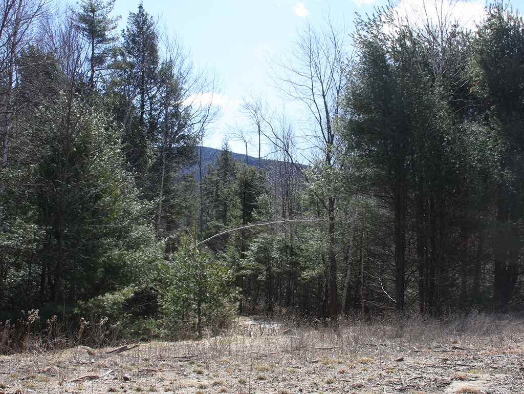 99 Murphy Road Peterborough, NH 03458 - Photo 2 of 28 Gallery Image 2