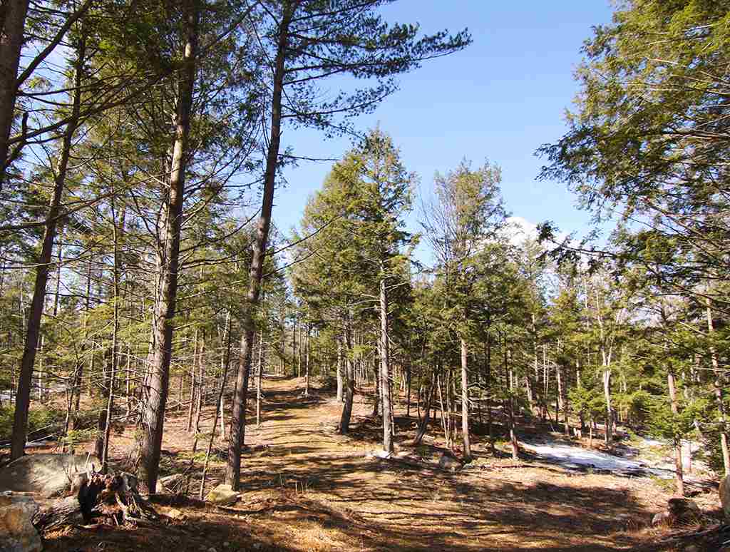 99 Murphy Road Peterborough, NH 03458 - Photo 4 of 28 Gallery Image 4