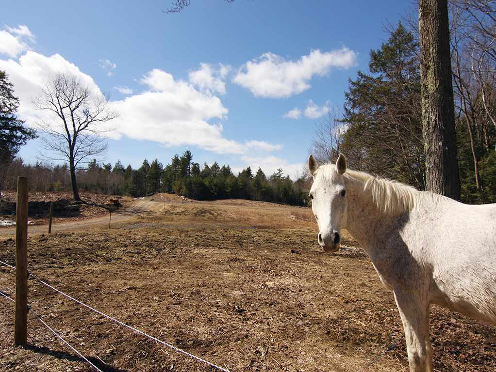 99 Murphy Road Peterborough, NH 03458 - Photo 5 of 28 Gallery Image 5