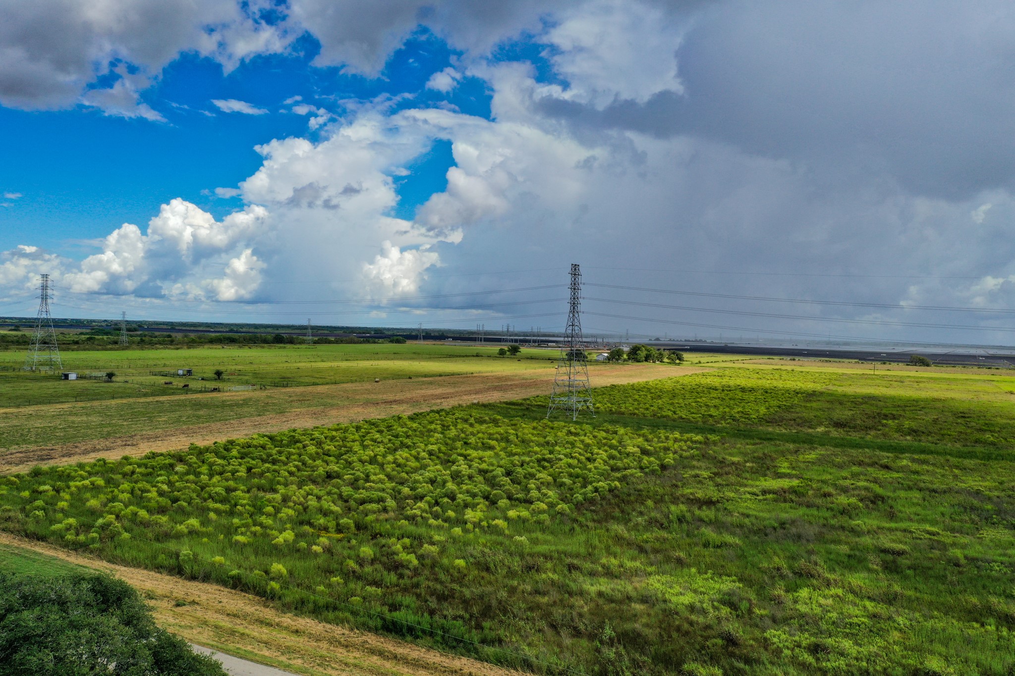 0 County Road 20 Damon, TX 77430 - Photo 14 of 14