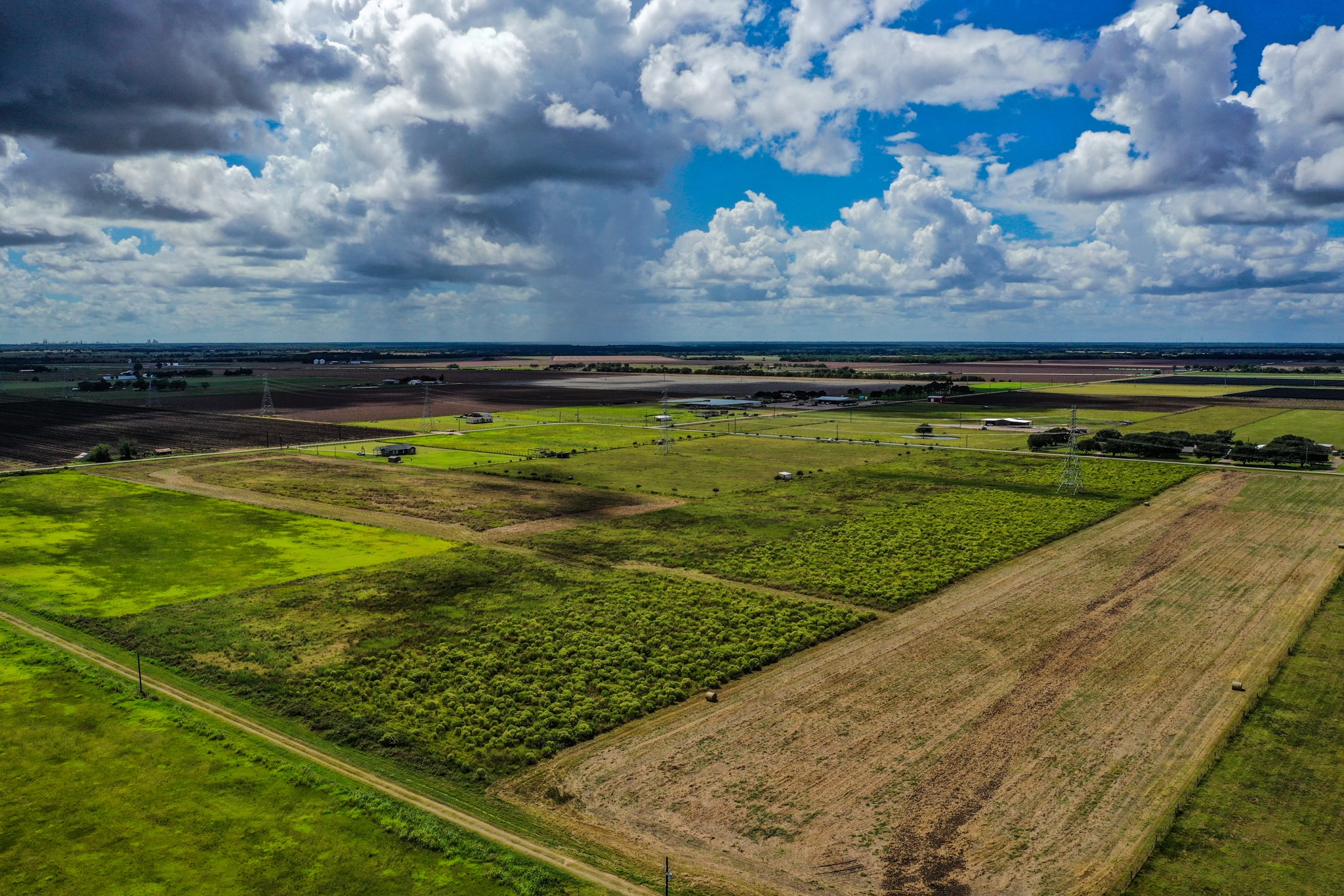 0 County Road 20 Damon, TX 77430 - Photo 5 of 14