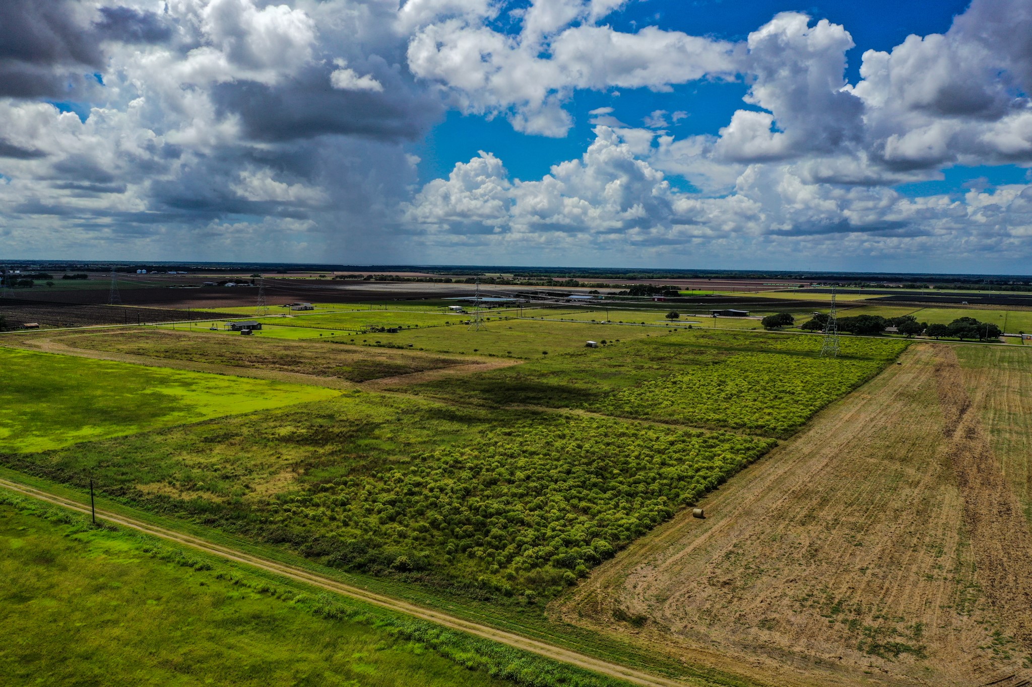 0 County Road 20 Damon, TX 77430 - Photo 6 of 14