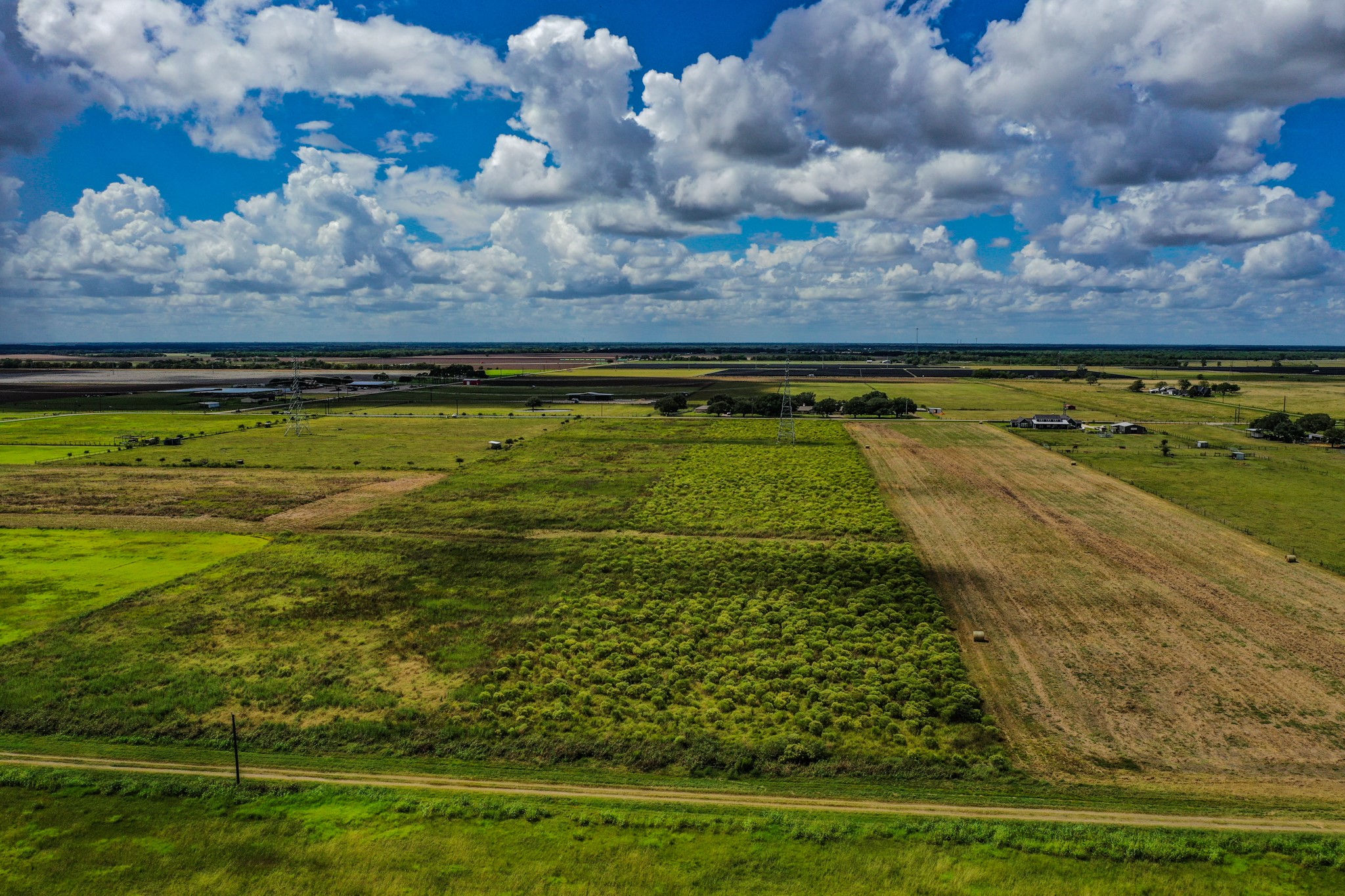 0 County Road 20 Damon, TX 77430 - Photo 7 of 14