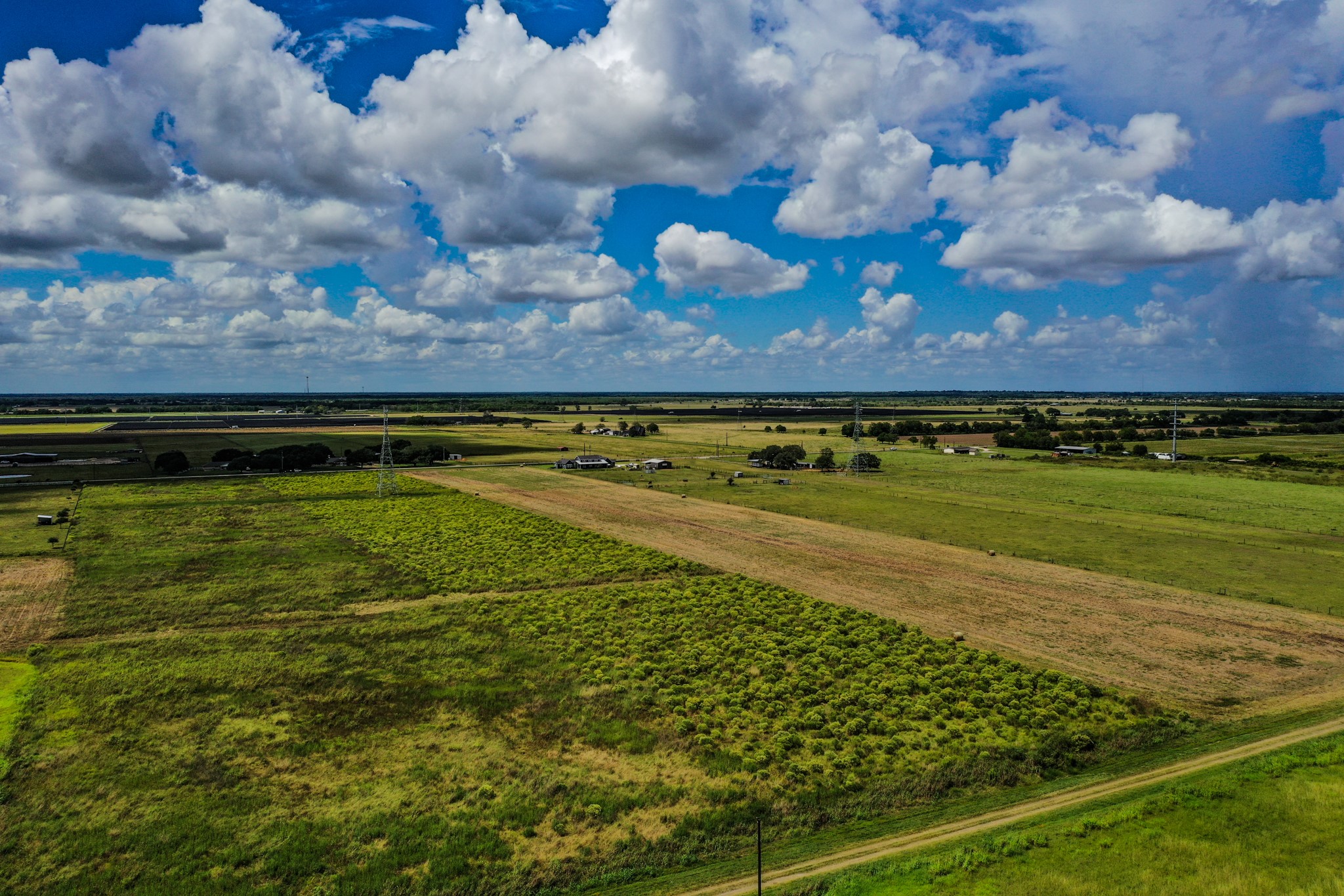 0 County Road 20 Damon, TX 77430 - Photo 8 of 14