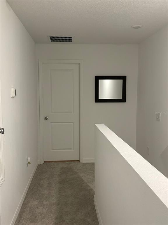 3021 Skyline Loop Kissimmee, FL 34758 - Photo 19 of 57