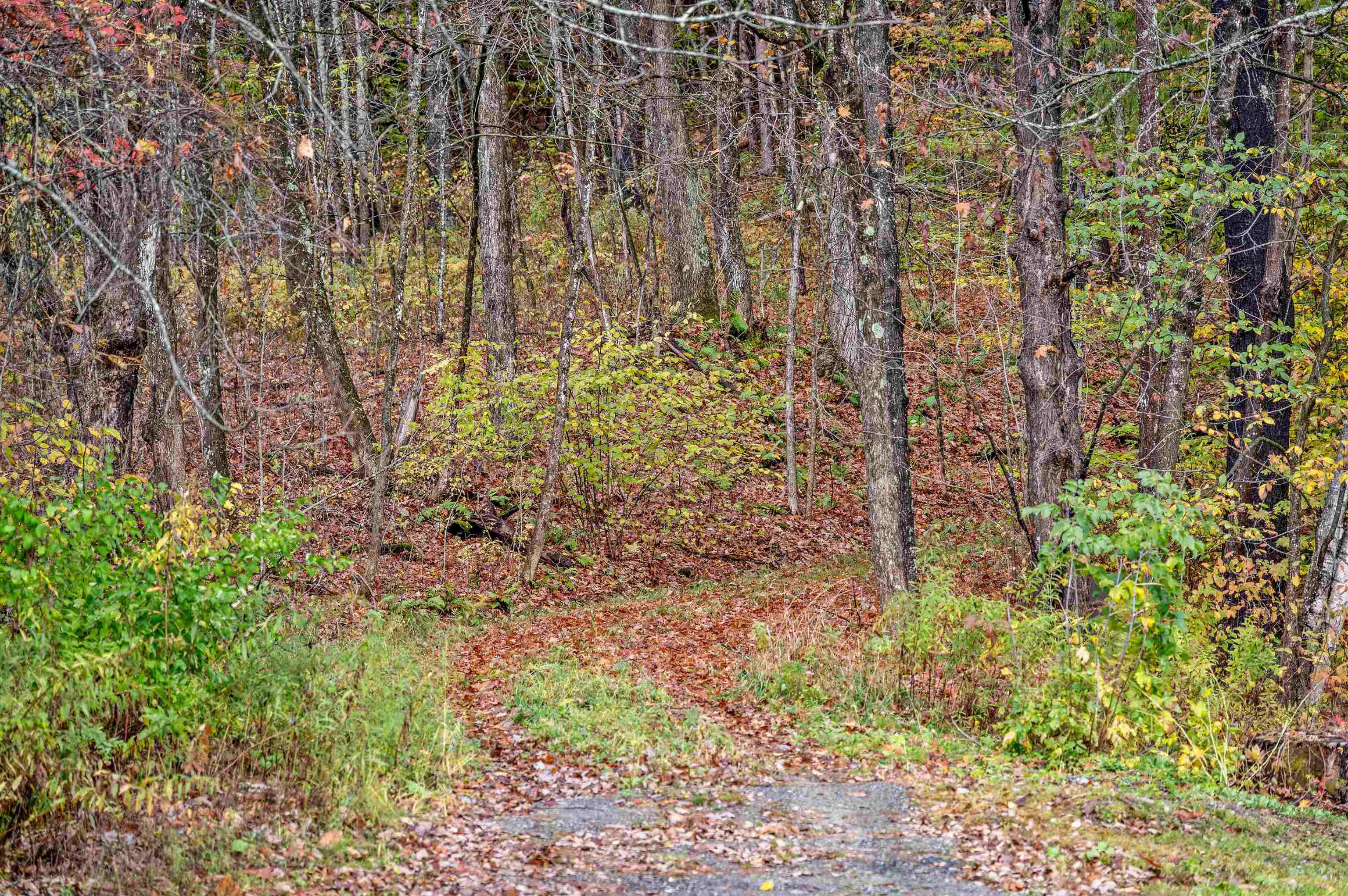 0 Veo Road, Unit 3 Montpelier, VT 05602 - Photo 14 of 15