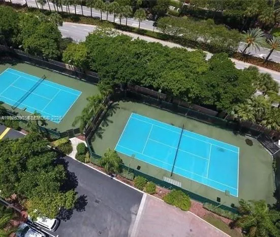 a view of a backyard with plants