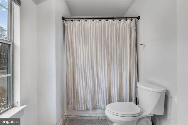 a white toilet sitting next to a small yard