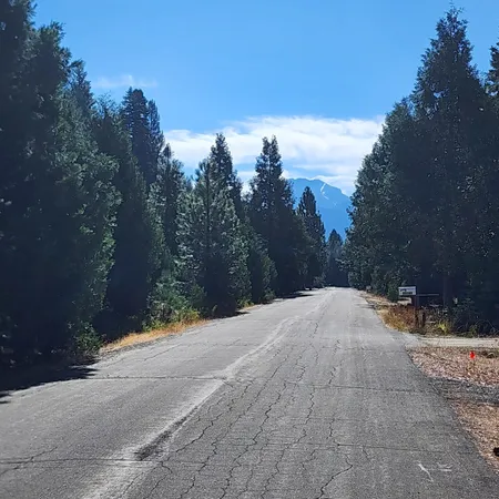 a view of a road with a yard