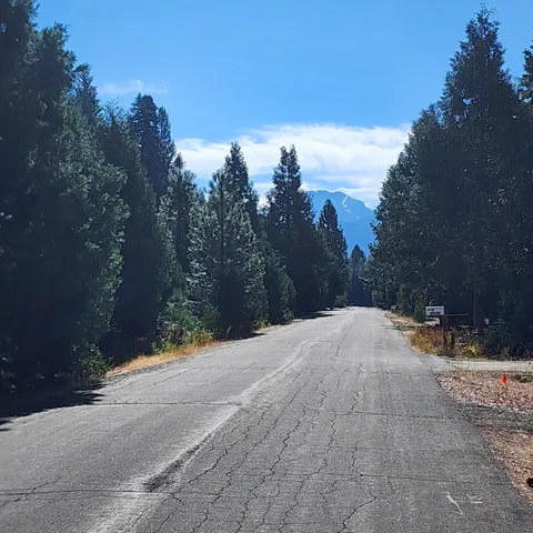 a view of a road with a yard