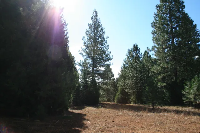 a view of outdoor space with deck