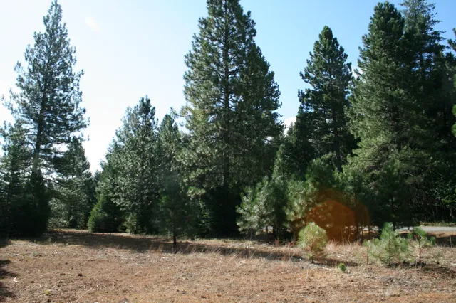 a view of outdoor space and yard