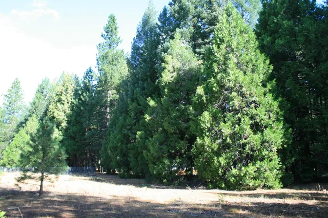 a view of outdoor space and yard