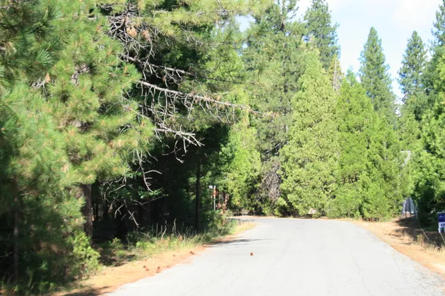 a view of a wooden house with a tree