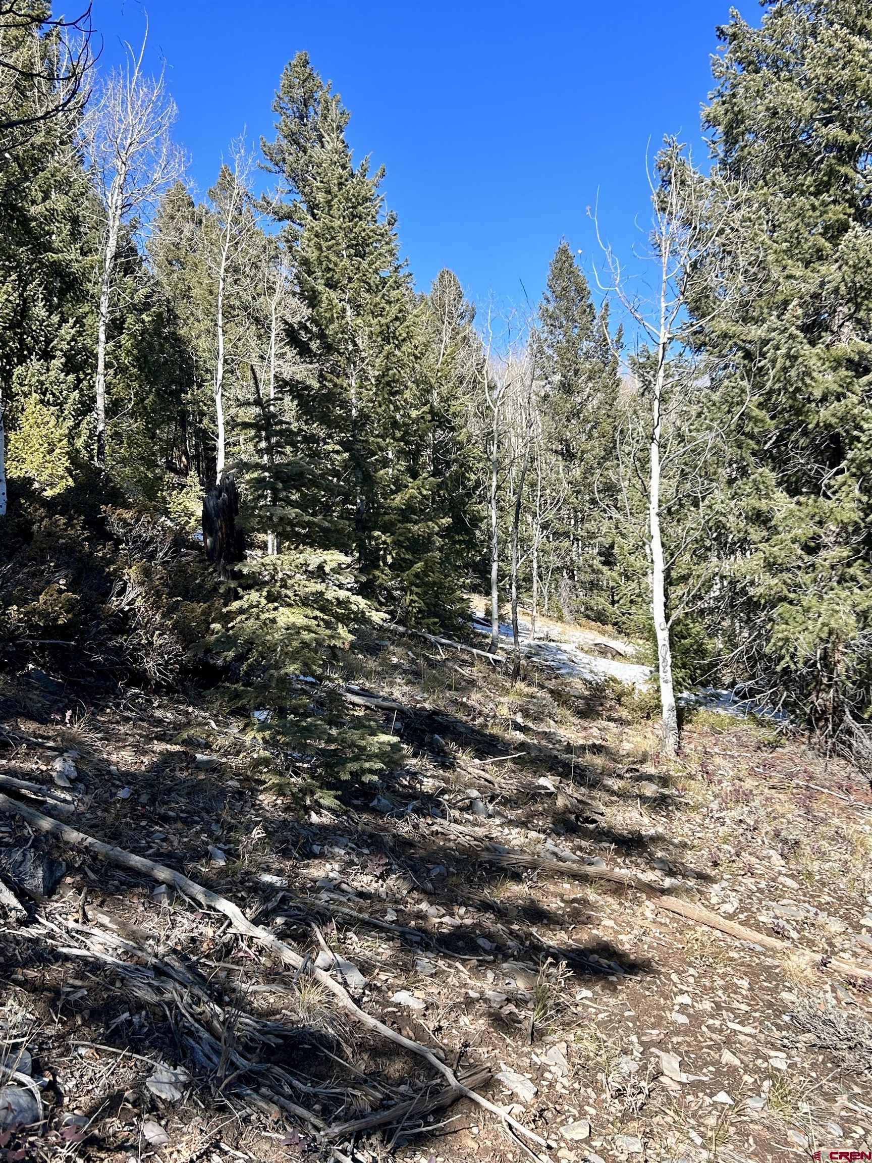 395 Soul's Ease Road Pitkin, CO 81241 - Photo 11 of 19 a backyard of a house with lots of green space