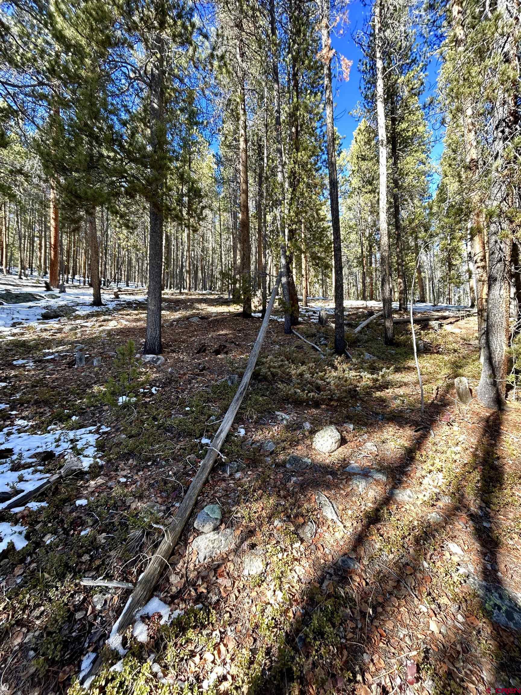395 Soul's Ease Road Pitkin, CO 81241 - Photo 12 of 19 a backyard of a house with lots of green space