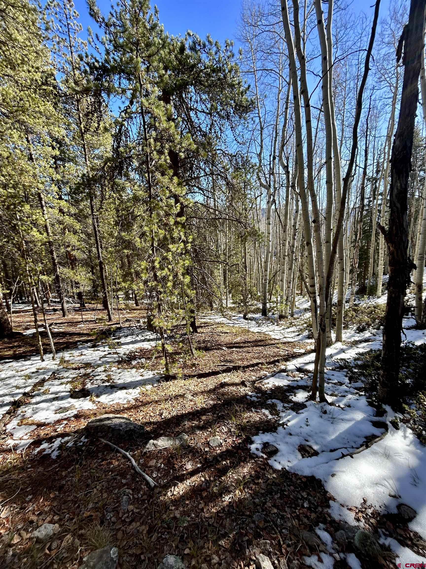 395 Soul's Ease Road Pitkin, CO 81241 - Photo 13 of 19 a view of a forest with lots of trees