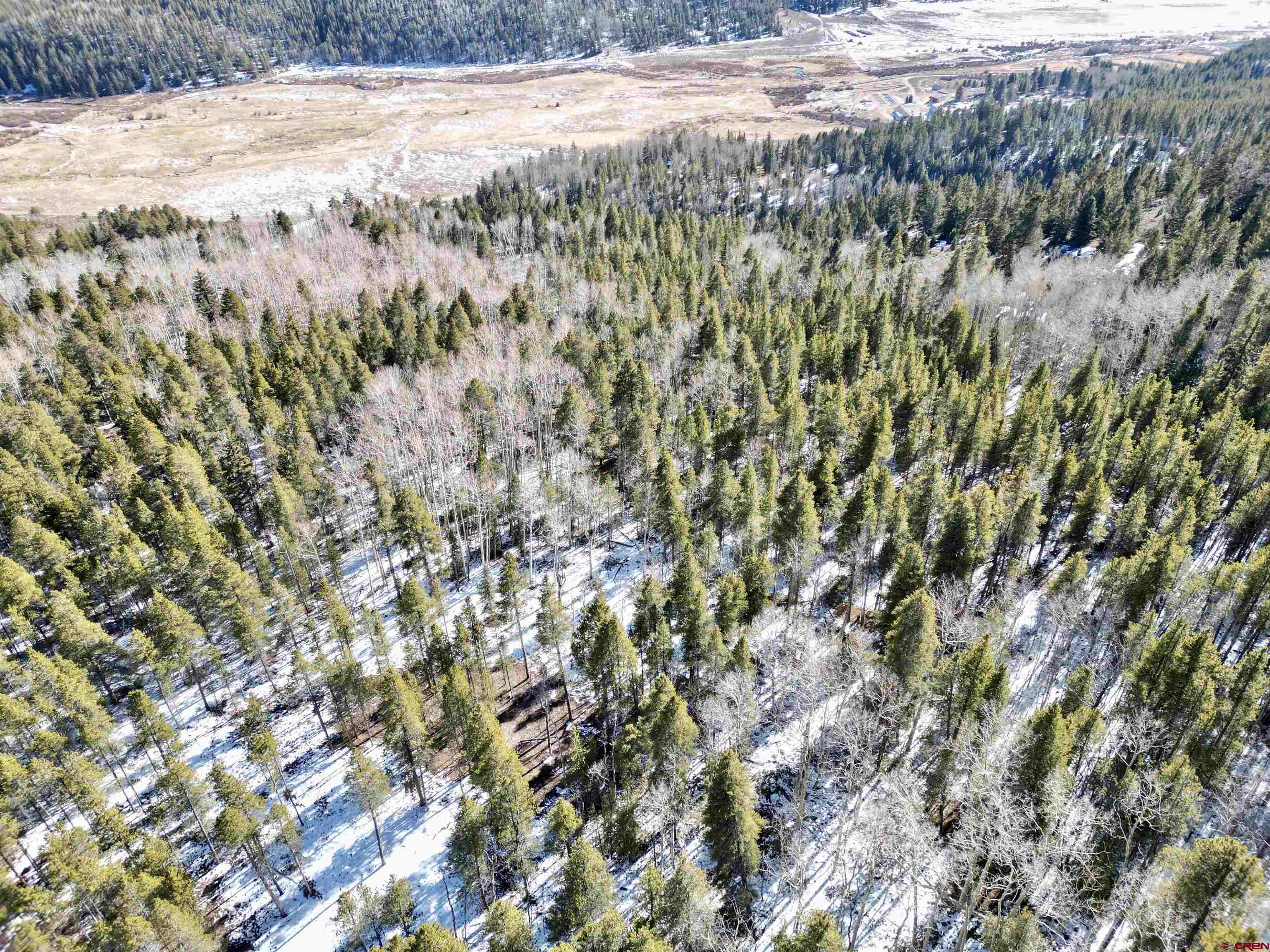 395 Soul's Ease Road Pitkin, CO 81241 - Photo 14 of 19 a view of a yard with a tree