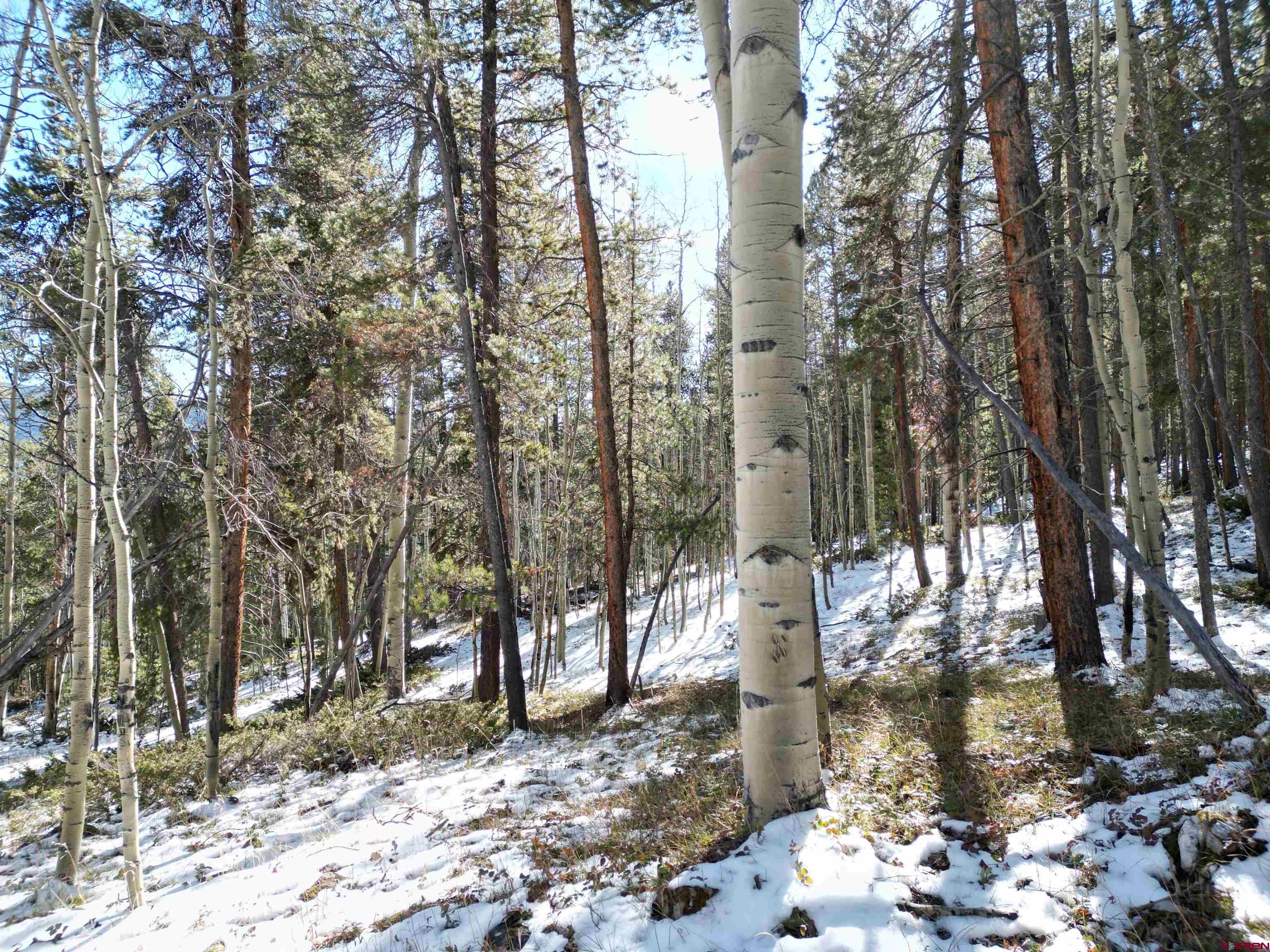 395 Soul's Ease Road Pitkin, CO 81241 - Photo 15 of 19 a backyard of a house with lots of green space