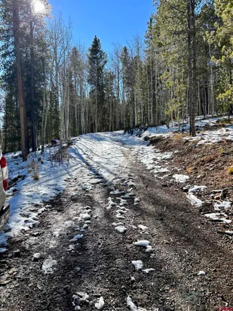 a view of outdoor space with trees
