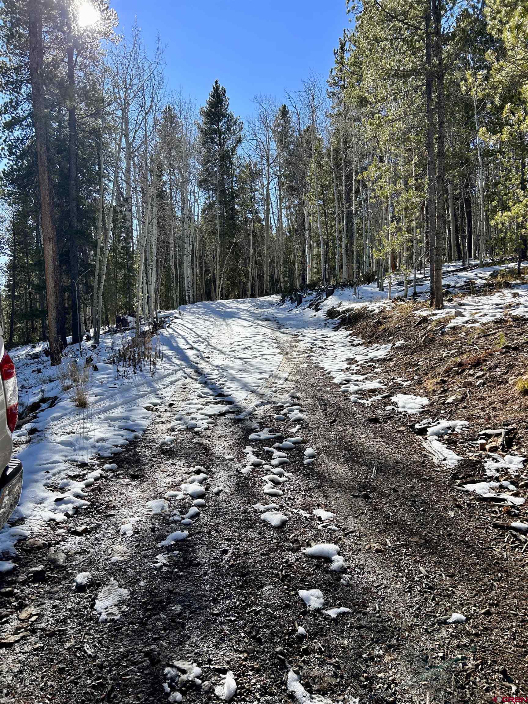 395 Soul's Ease Road Pitkin, CO 81241 - Photo 17 of 19 a view of outdoor space with trees