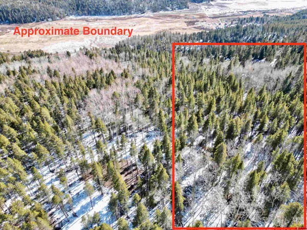 $65,000 | 395 Soul's Ease Road, Pitkin, CO 81241