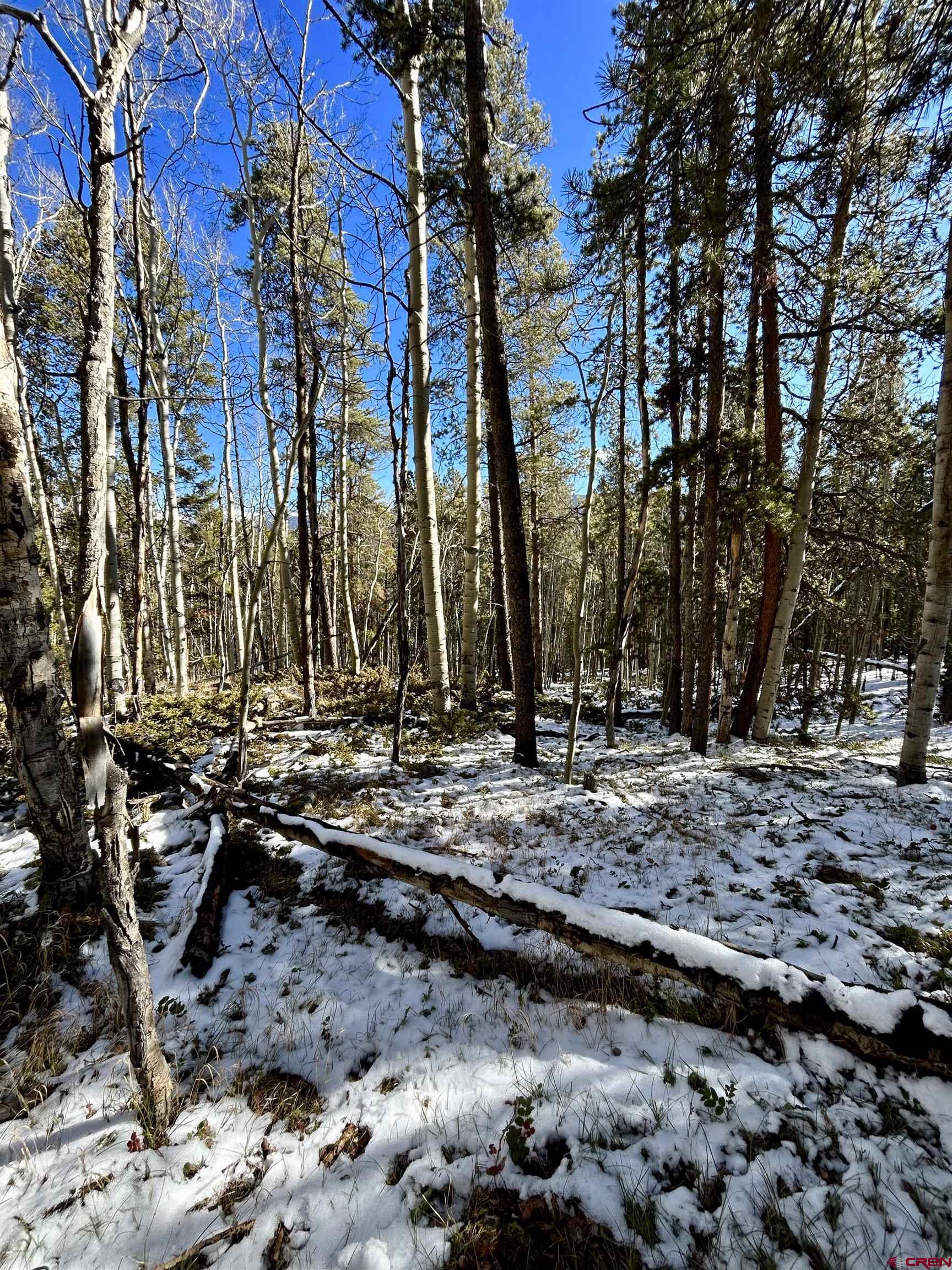 395 Soul's Ease Road Pitkin, CO 81241 - Photo 2 of 19 a view of a park with large trees