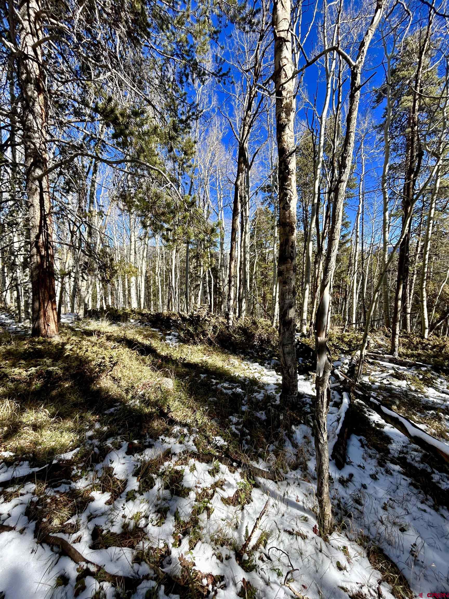 395 Soul's Ease Road Pitkin, CO 81241 - Photo 3 of 19 a view of a yard with trees
