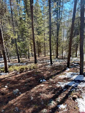 a view of road with trees