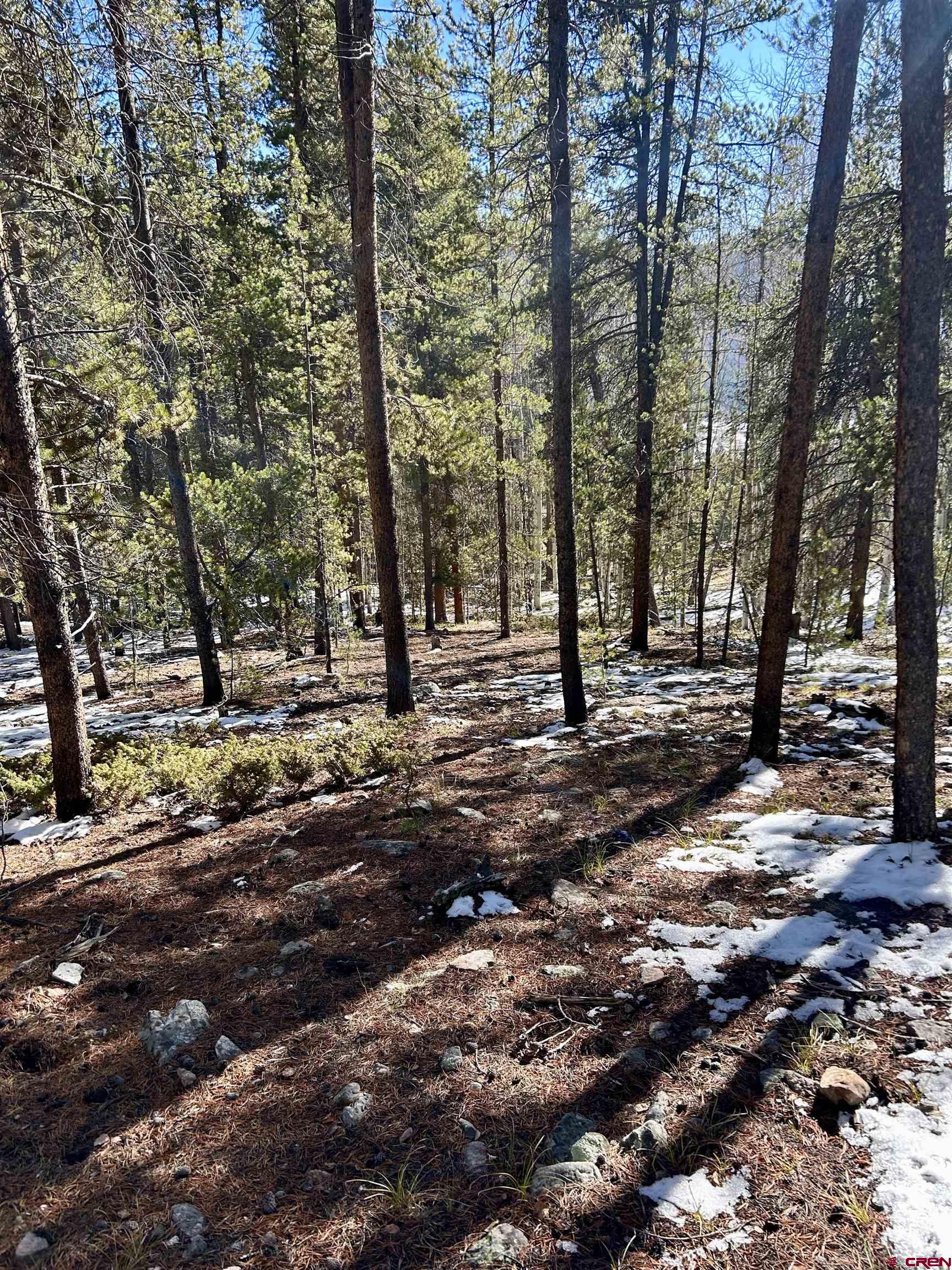 395 Soul's Ease Road Pitkin, CO 81241 - Photo 5 of 19 a view of road with trees