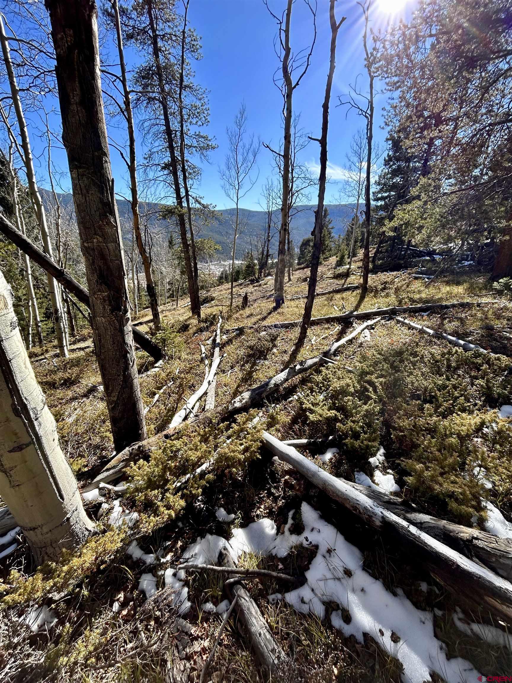 395 Soul's Ease Road Pitkin, CO 81241 - Photo 7 of 19 a view of a snow on a tree