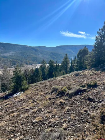 a view of a dry yard