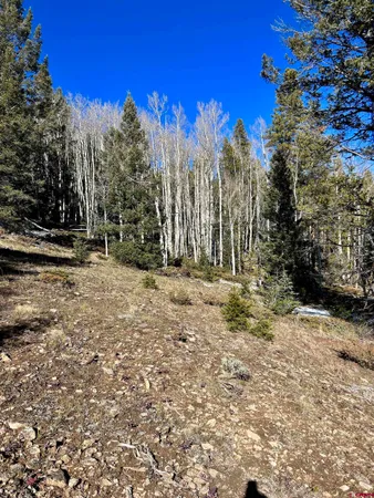 a view of outdoor space with trees