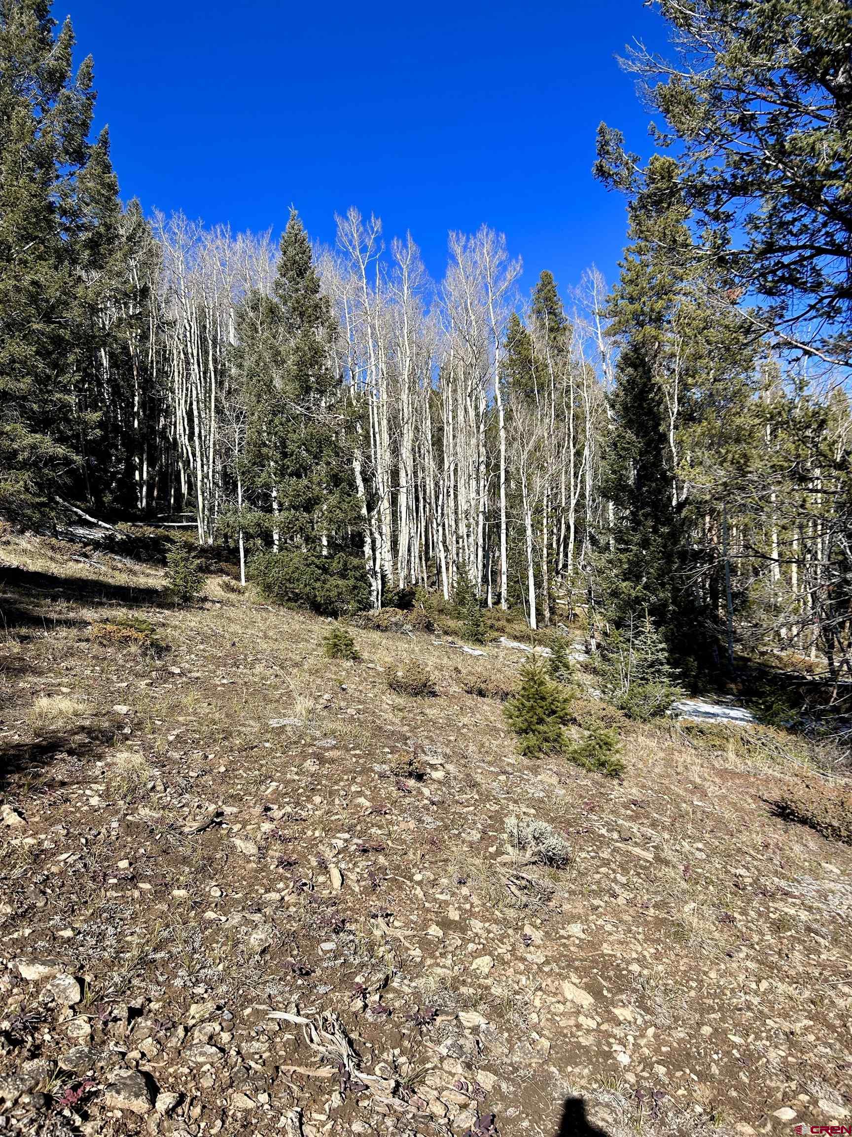 395 Soul's Ease Road Pitkin, CO 81241 - Photo 10 of 19 a view of outdoor space with trees