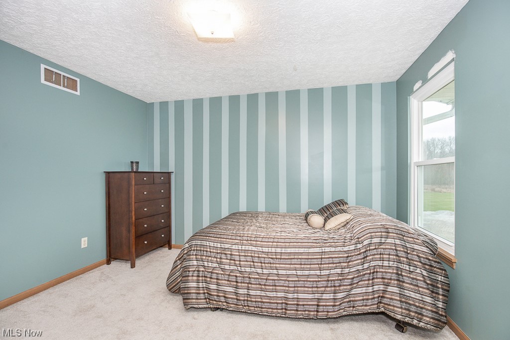 9708 Reed Road Grafton, OH 44044 - Photo 18 of 35 Bedroom featuring a textured ceiling and light carpet