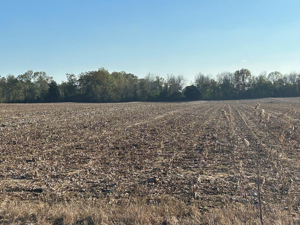51.8-ac Hadden Road Dothan, AL 36301 - Photo 22 of 43