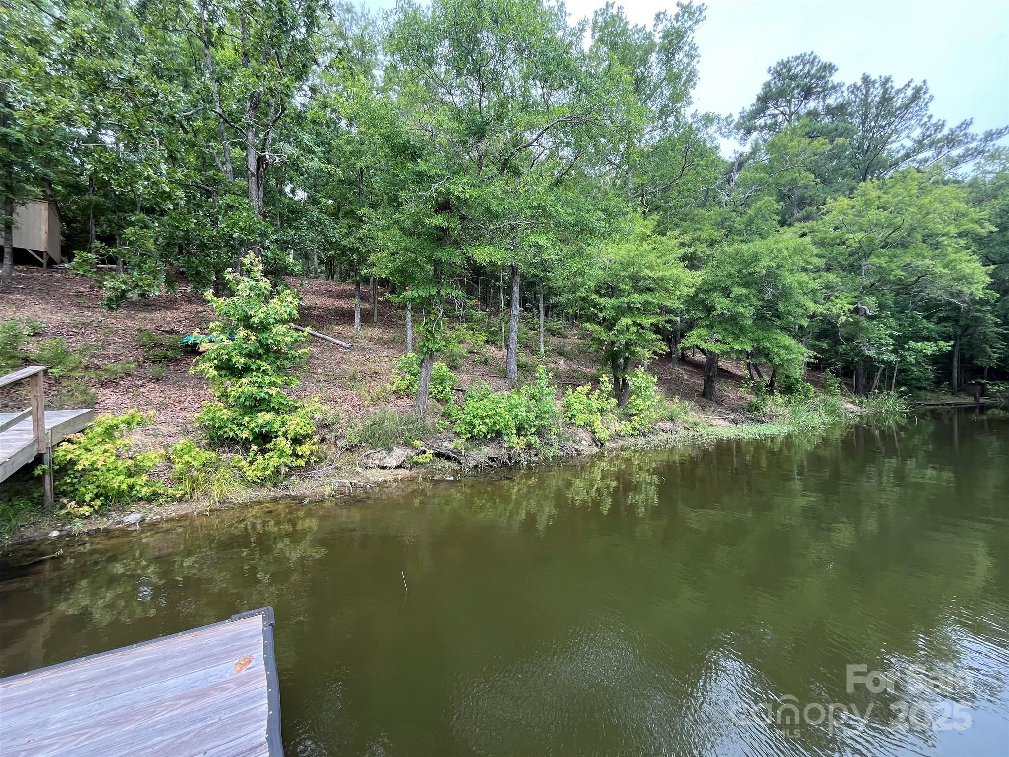1249 Screech Owl Road Camden, SC 29020 - Photo 5 of 8 Gallery Image 5