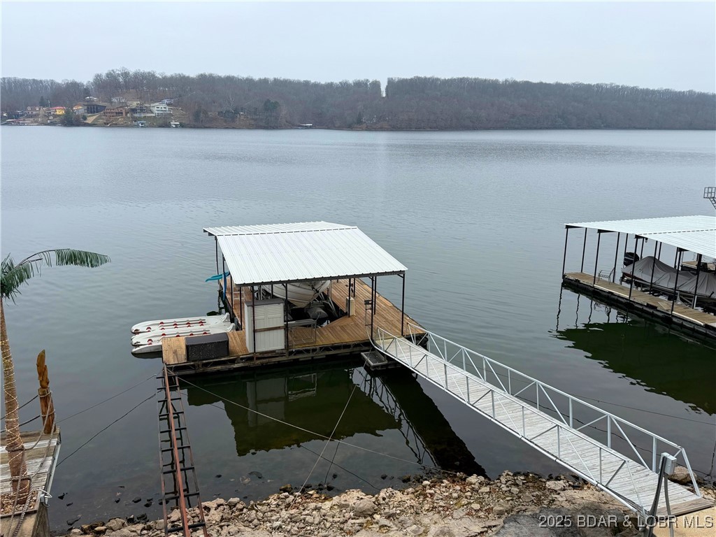 27630 Golden Point Lane Barnett, MO 65011 - Photo 44 of 60 Dock