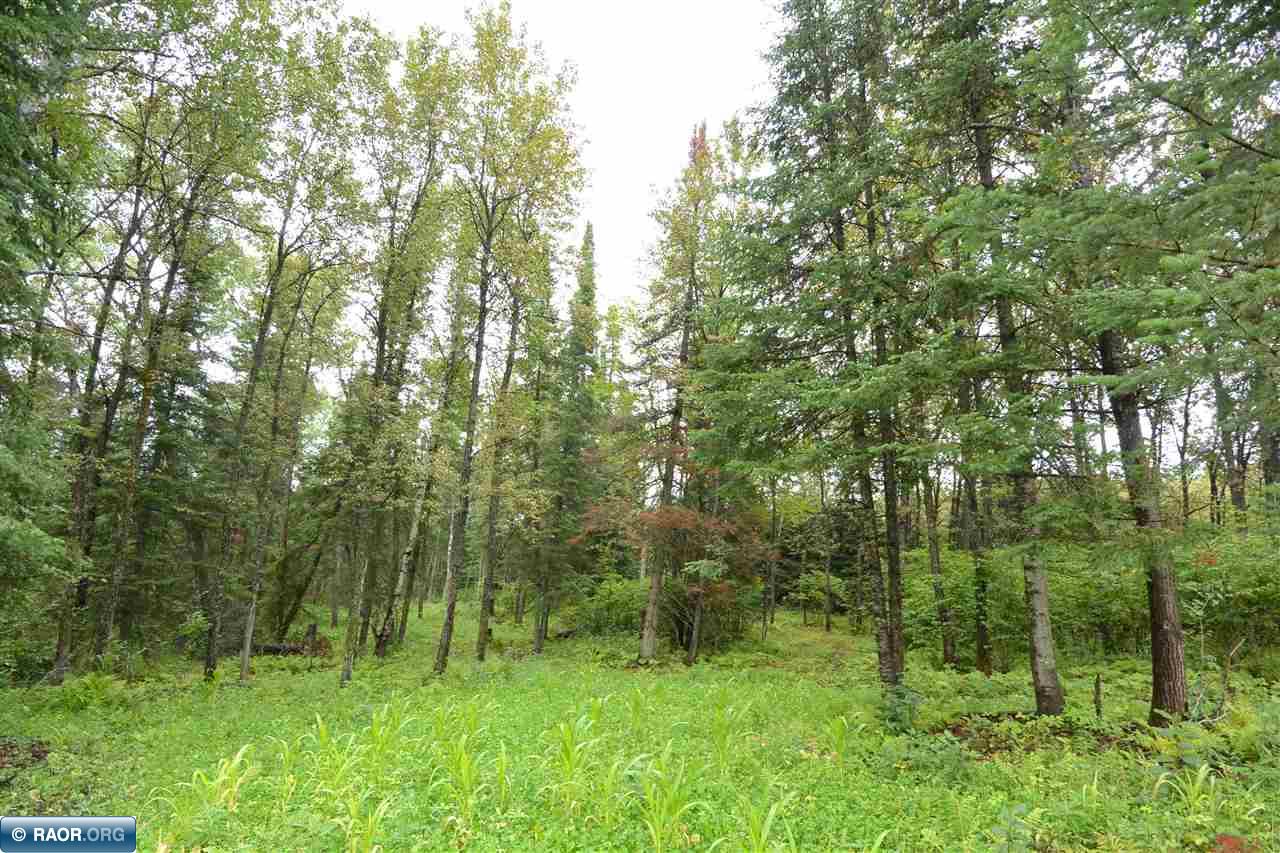 Tbd Maxwell Road Mountain Iron, MN 55768 - Photo 8 of 11 Gallery Image 8