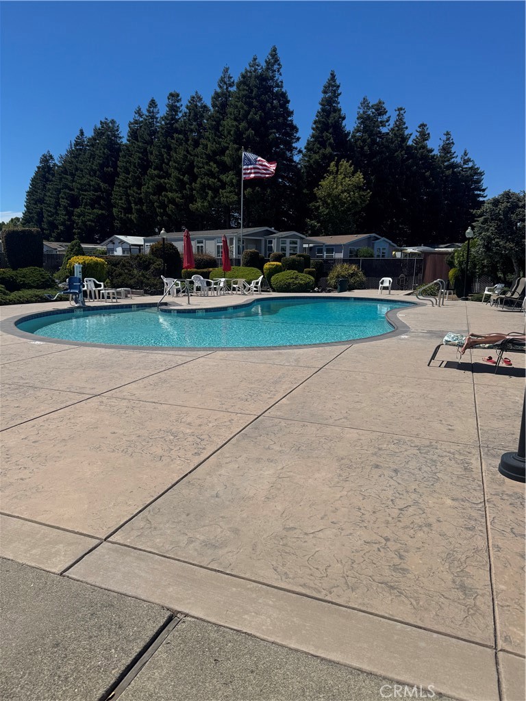 1200 South Winton, Unit 142 Hayward, CA 94545 - Photo 26 of 30 Clubhouse pool