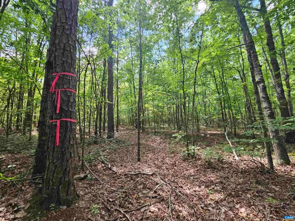 $389,900 | 100-ac West James Anderson Highway West, Gladstone, VA 24553