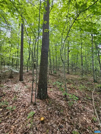 $389,900 | 100-ac West James Anderson Highway West, Gladstone, VA 24553