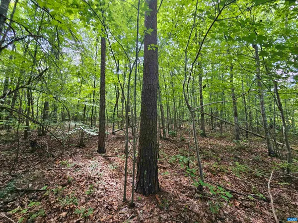 $389,900 | 100-ac West James Anderson Highway West, Gladstone, VA 24553