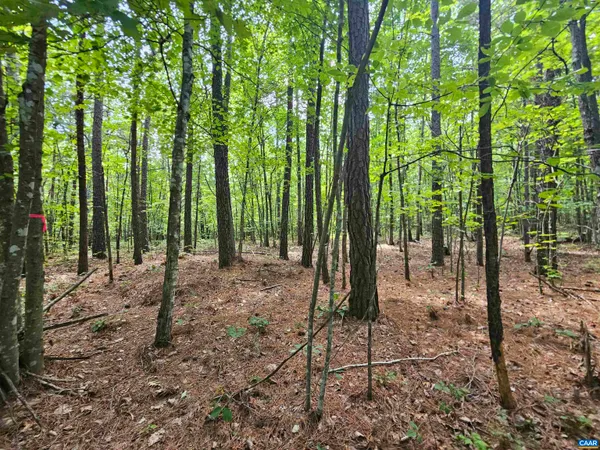 $389,900 | 100-ac West James Anderson Highway West, Gladstone, VA 24553