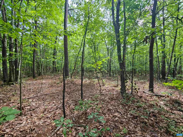 $389,900 | 100-ac West James Anderson Highway West, Gladstone, VA 24553