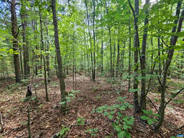 $389,900 | 100-ac West James Anderson Highway West, Gladstone, VA 24553