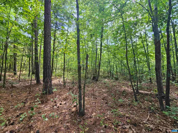 $389,900 | 100-ac West James Anderson Highway West, Gladstone, VA 24553