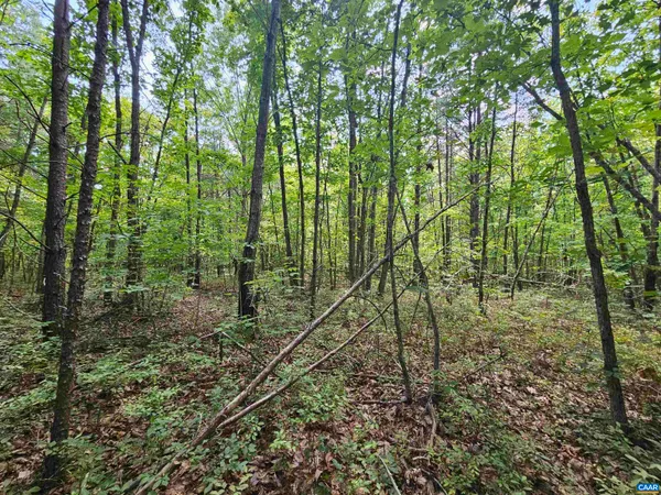 $389,900 | 100-ac West James Anderson Highway West, Gladstone, VA 24553